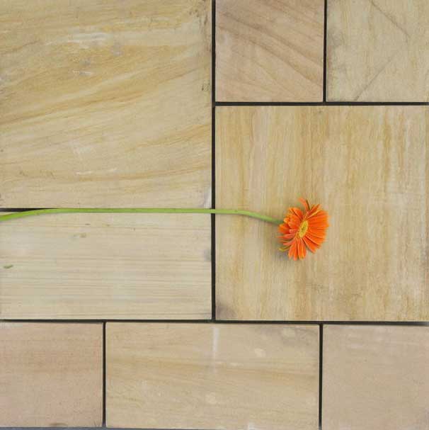 Teakwood Sandstone pavers and Tiles